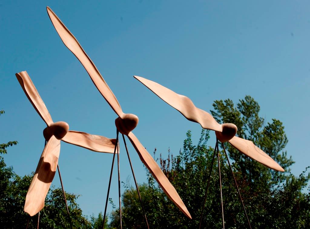 Borna Demel - Propele